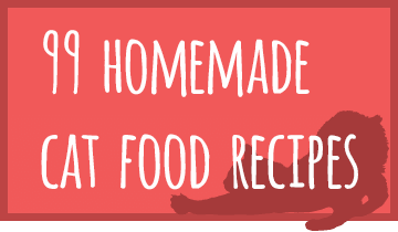 cat-recipe-featured