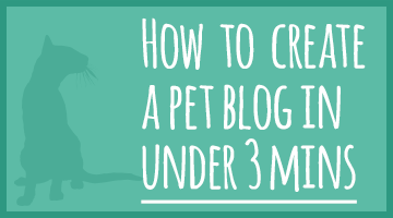 pet-blog