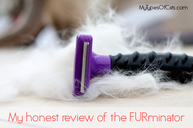 furminator-reviews-2015-2