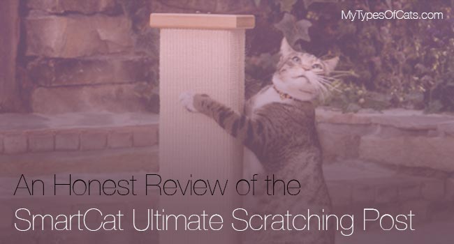 cat-scratching-posts-smartcat-ultimate-scratching-post